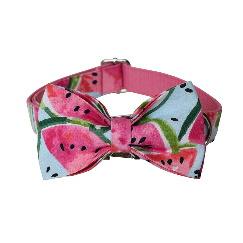 Fournitures pour animaux de compagnie Collier pour chien Laisse pour animaux de compagnie